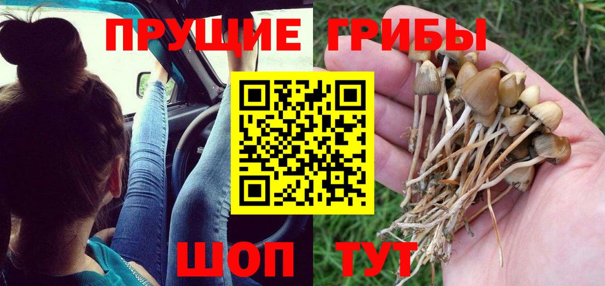 Псилоцибиновые грибы Psilocybe  Вход с VPN  где найти наркотики  Урай 